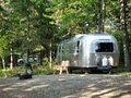 Bar Harbor KOA Oceanside Campground image 3
