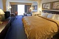Best Western Coliseum Inn & Suites - Hampton image 4