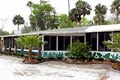 Black Hammock Restaurant image 1