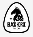 Black Horse Taichi logo