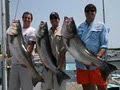 Block Island Fishing Charters, LLC image 4