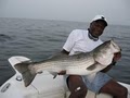 Block Island Fishing Charters, LLC image 5