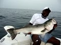 Block Island Fishing Guides image 7