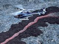 Blue Hawaiian Helicopters image 5