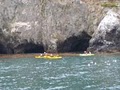 Blue Ocean Kayaking image 4