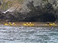 Blue Ocean Kayaking image 1
