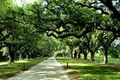 Boone Hall Plantation image 3