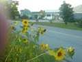 Bristol Vermont Bed and Breakfast image 7