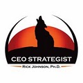 CEO Strategist image 2