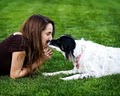 Caitlin Lane's Dog Training & Behavior Solutions image 2