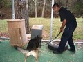 Canine Academy image 1