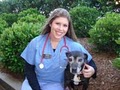 Carolina Veterinary Clinic image 7