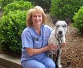 Carolina Veterinary Clinic image 10