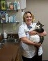 Cedar Ridge Animal Hospital | Kansas City image 3
