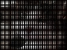 Cedar Ridge Animal Hospital | Kansas City image 5