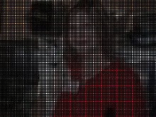 Cedar Ridge Animal Hospital | Kansas City image 7