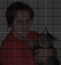 Cedar Ridge Animal Hospital | Kansas City image 8