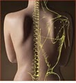 Chiropractors of Myrtle Beach image 1
