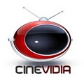 Cinevidia NY Home Theater Design/Installation and Entertainment System Solutions image 1