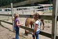 Clermont Equestrian image 3