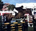 Clermont Equestrian image 5