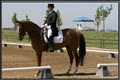 Clermont Equestrian image 8