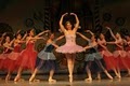 Colorado School of Dance image 3