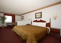 Comfort Inn & Suites Moore image 7