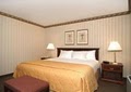 Comfort Inn & Suites St. Johnsbury VT Hotel image 8