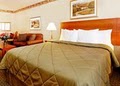Comfort Inn & Suites image 6