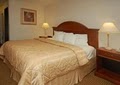 Comfort Inn image 3