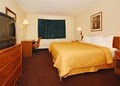 Comfort Inn image 3