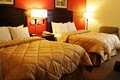 Comfort Inn image 4