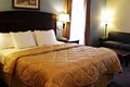 Comfort Inn image 6