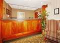 Comfort Inn image 9