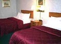 Comfort Inn image 10