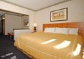 Comfort Suites - Las Cruces image 2