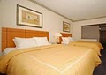 Comfort Suites - Las Cruces image 3