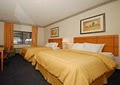 Comfort Suites - Las Cruces image 5