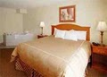 Comfort Suites image 8