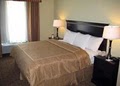 Comfort Suites image 10