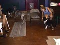 Companion K-9 Dog Day Care image 2