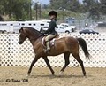 Cowboy & Cowgirl Summer Horse Camp image 3