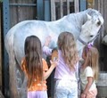 Cowboy & Cowgirl Summer Horse Camp logo