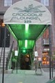 Crocodile Lounge image 2
