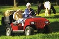 Cunningham Golf, Sport and Utility Vehicles image 3