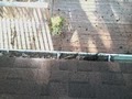 DT Pressure Washing image 7