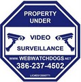 Daytona Video Surveillance Security Cameras image 1