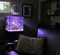 Deep Sea Aquarium Maintenance image 7