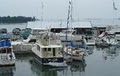 Drummond Island Yacht Haven, Inc image 2